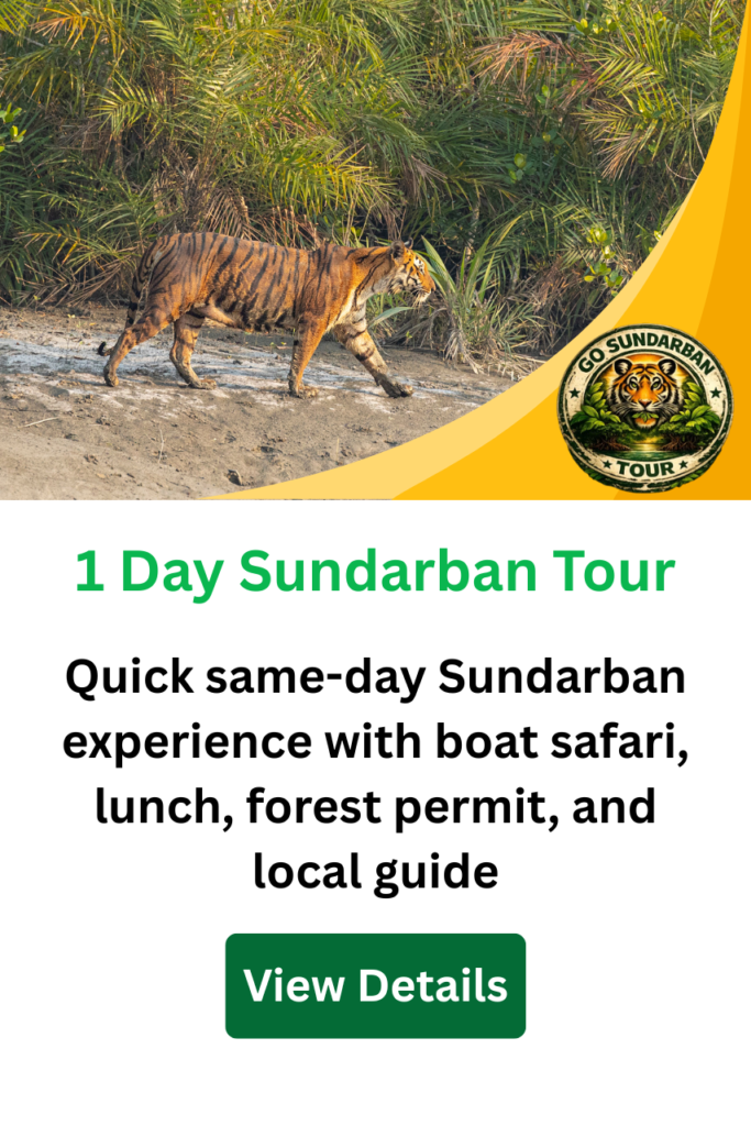 1 Day Sundarban Tour