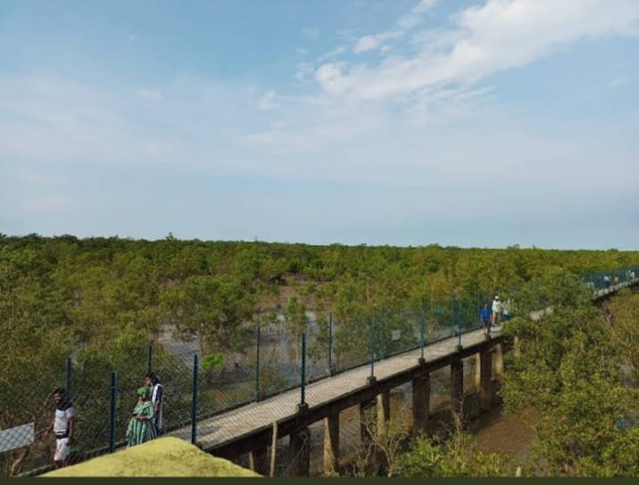 Dobanki Canopy Walk